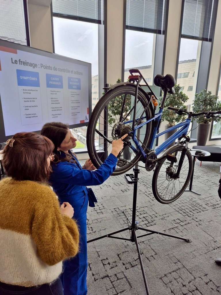 Bibliothèque commerciale Va Bene Cycles
